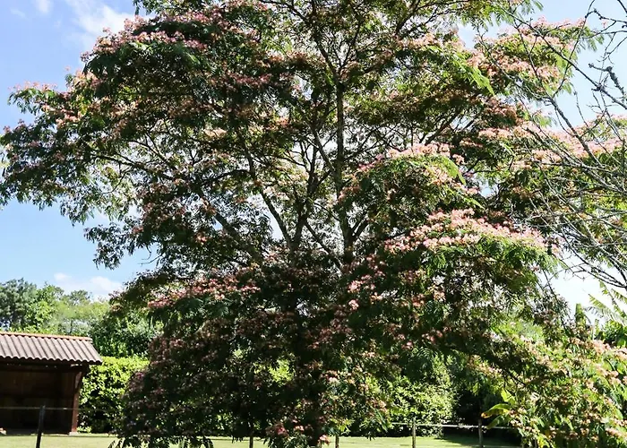 Avec Piscine A Proximite Des Plages Et De La Foret Vila *